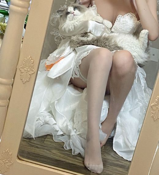 牛气满满的哥哥综艺节目免费观看