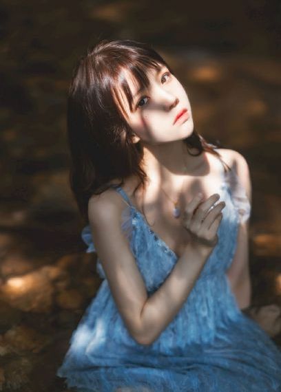 与凤行电视剧在线观看